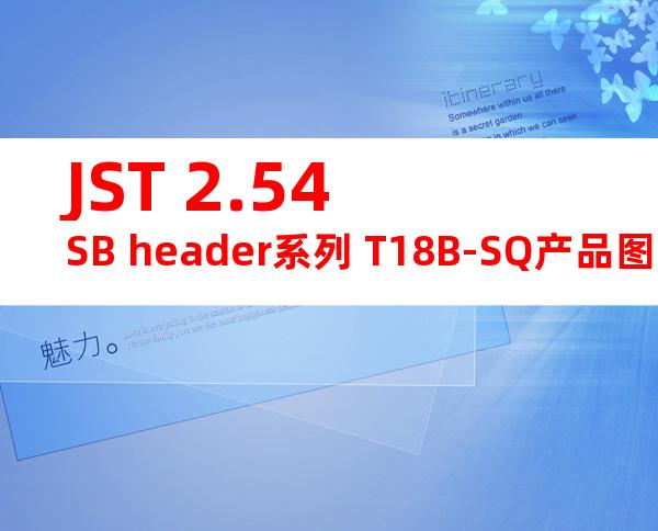 JST 2.54SB header系列 T18B-SQ产品图纸